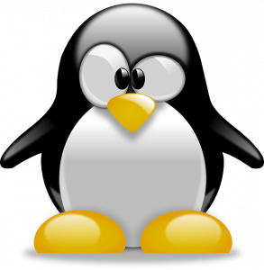 Linux Host Enumeration 