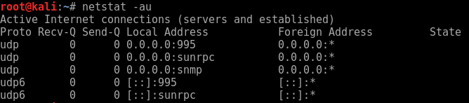 UDP netstat connections