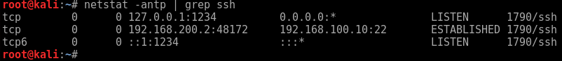 netstat -antp ssh dynamic ports